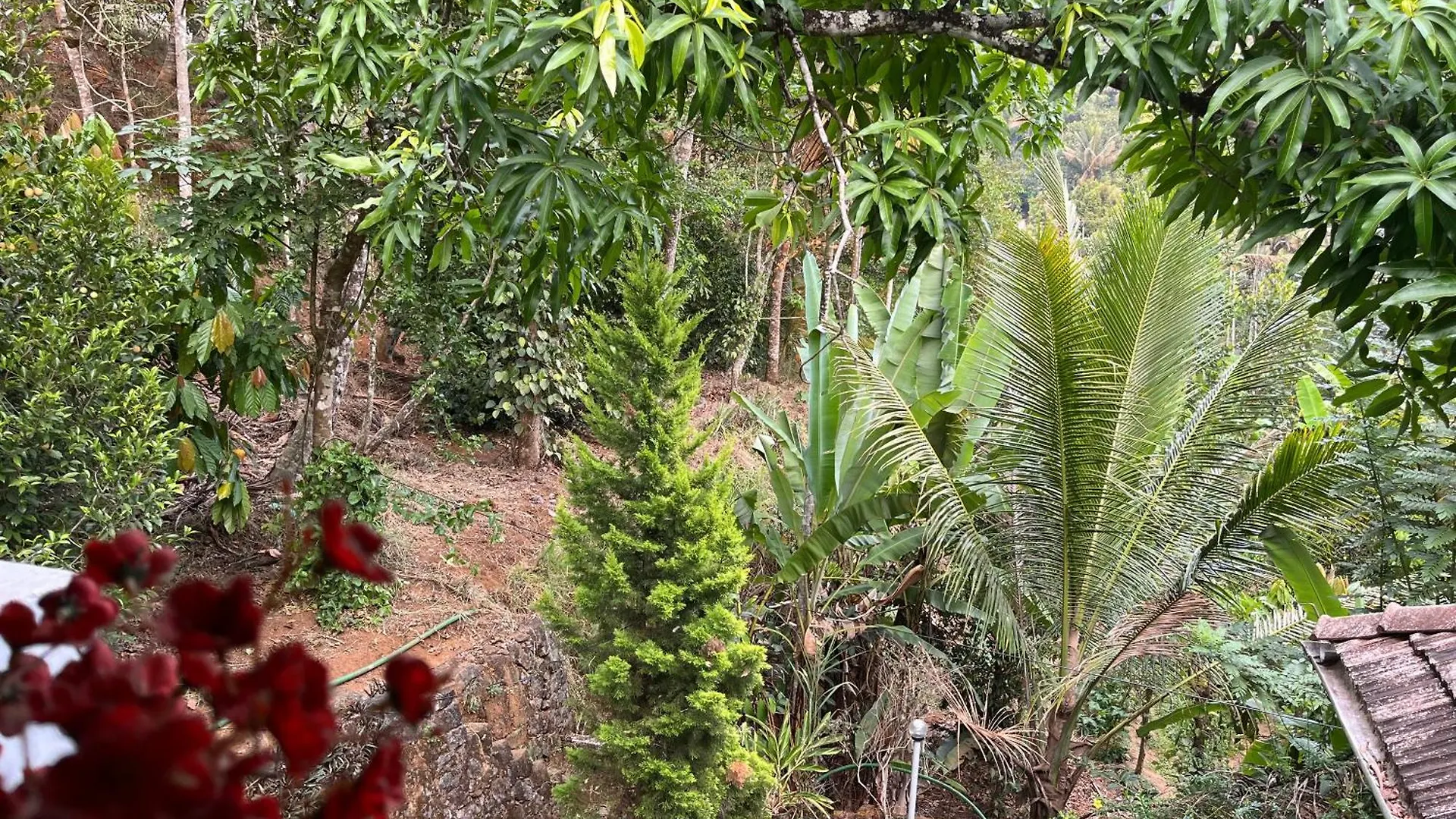 Maliyeckal Homestay Munnar